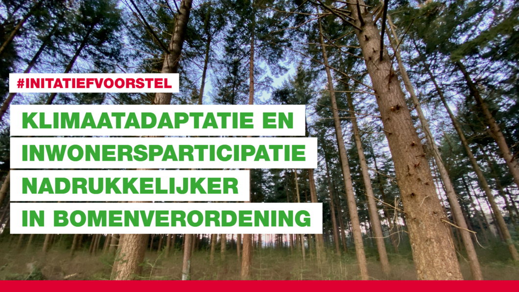 Bomen tekst