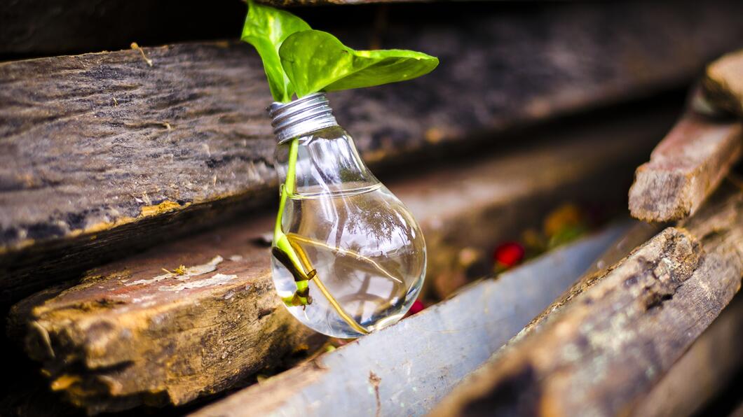 circulaire en schone economie