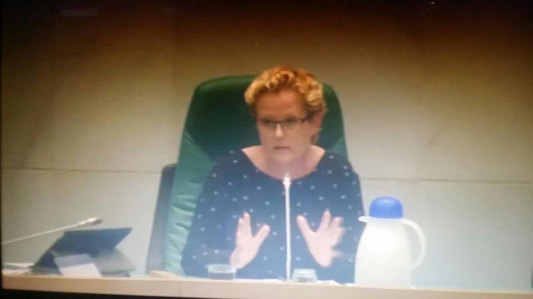 Raadslid Nathalie Nijs.jpg