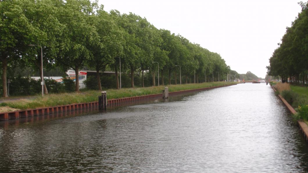 Wilhelmina_001.JPG