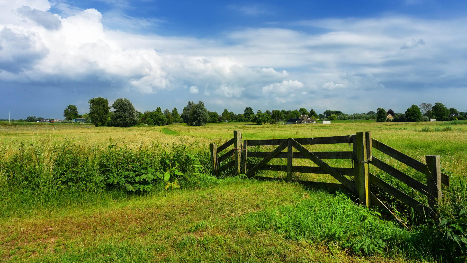 Een hek temidden van groene weides in Nederland