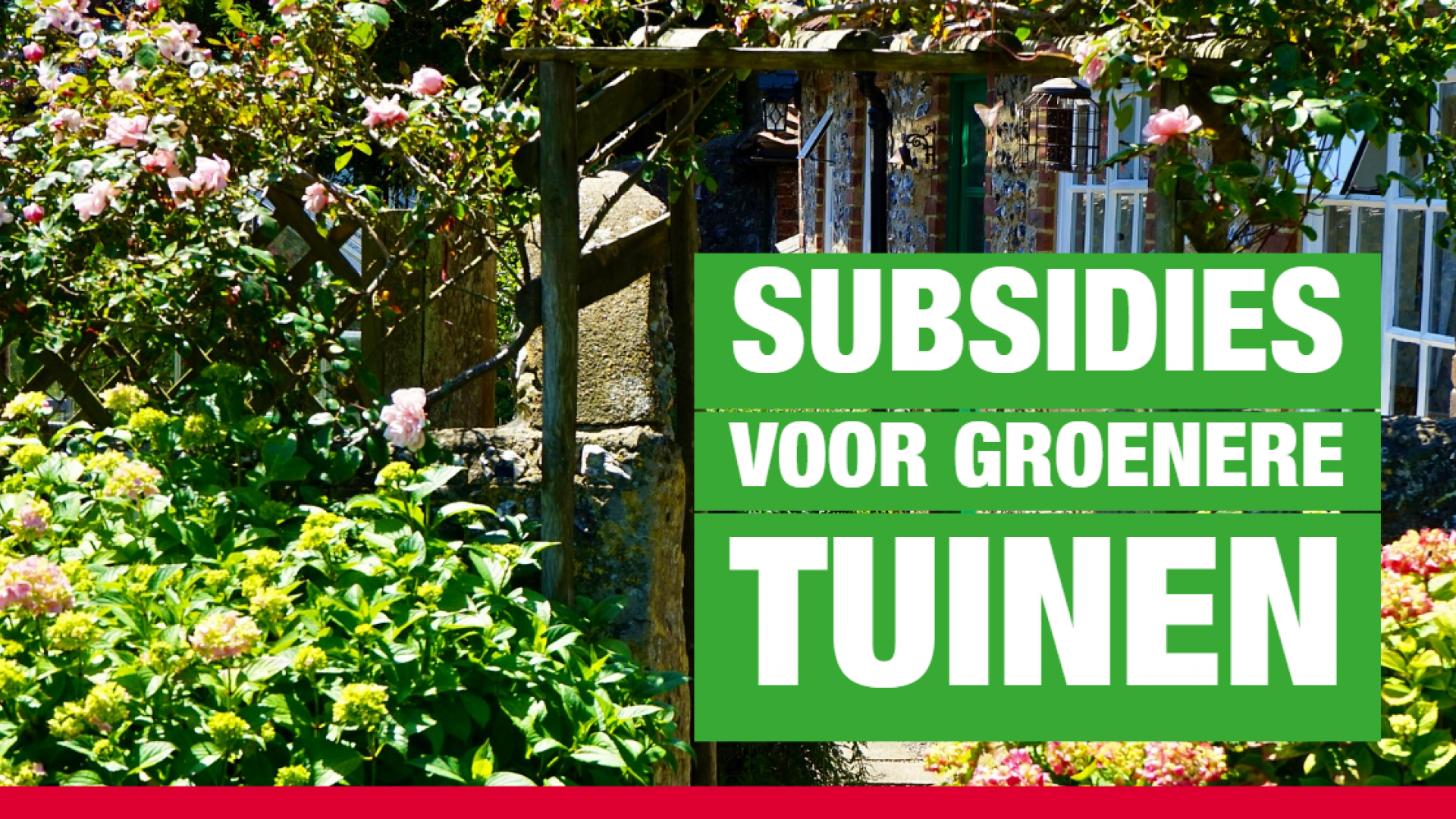 Subsidies voor groenere tuinen