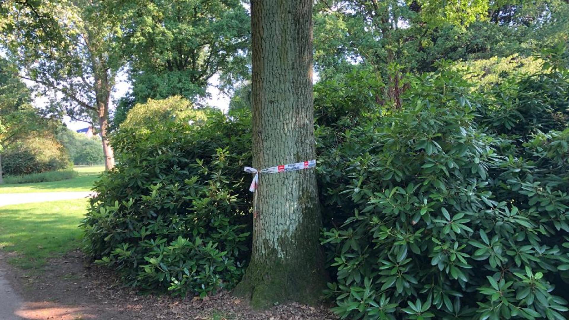 Processierups Leypark